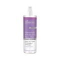 Освежающий и увлажняющий спрей с лунной пылью - Bielenda Professional MOONLIGHT WELLNESS